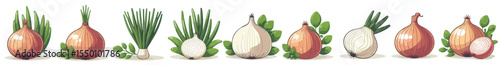 Vector set of onions
