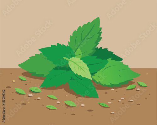 Crushed dried mint leaves scattered on a rustic wooden surface vector art design 