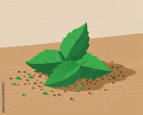 Crushed dried mint leaves scattered on a rustic wooden surface vector art design 
