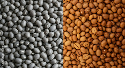 Dichotomy Of Legumes Raw Black Beans Versus Roasted Soybeans
