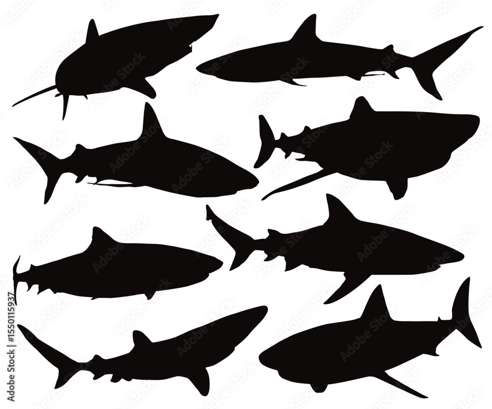 Fototapeta premium Baby shark. A set of dangerous shark illustrations. Underwater, ocean, sea animal swimming silhouetted. Various poses Sharks. Silky sharks different view. Hammerhead Shark Silhouette Isolated Vector.