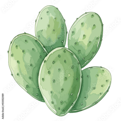 Nopales (Cactus Pads) Isolated on Transparent PNG Background- Watercolour Art