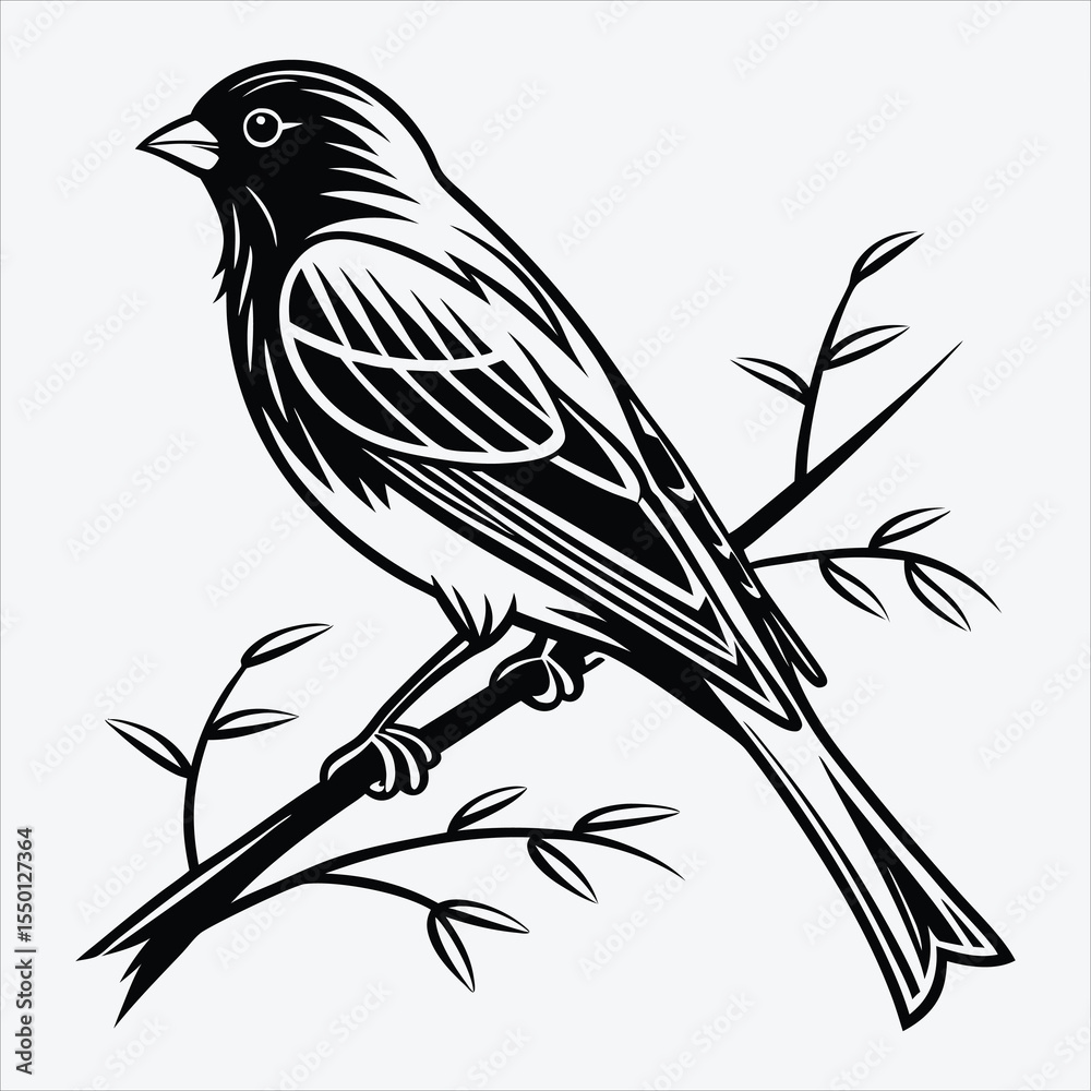 Fototapeta premium Blue Jay line art White background illustration Generative Ai