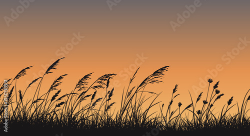 Vector illustration of silhouette wild grasses against a vibrant sunset sky