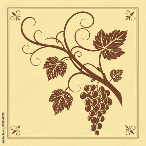 Elegant vineyard label featuring curled grape tendrils vector