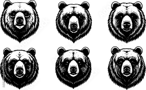 A collection of six bear head illustrations, black and white