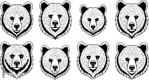 A collection of six bear head illustrations, black and white