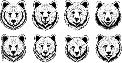 A collection of six bear head illustrations, black and white