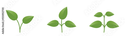 Green plants with leaves. Nature, botany and planting design elements. Isolated vector images