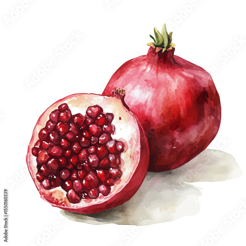 Setar, watercolor illustration vector, isolated on a white background.