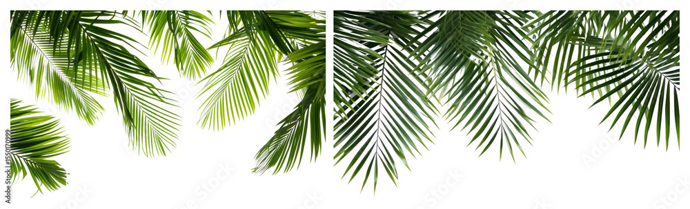 Fototapeta premium PNG Lush tropical palm leaves vibrant, element set on transparent background