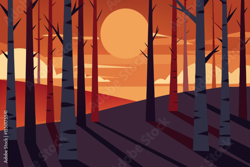 sunset in the forest