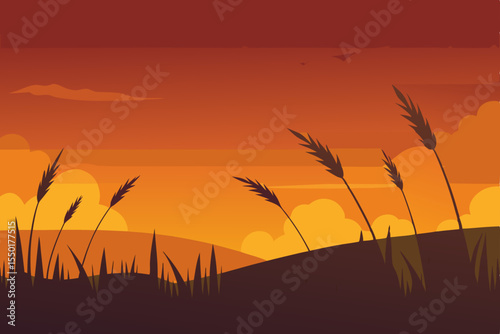 wheat field at sunset