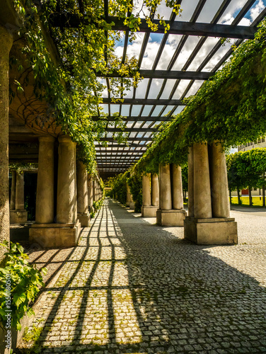 Sunny Walkway Through Lush Green Garden Pergola with Stone Columns