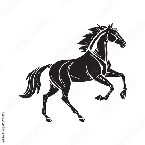 black horse on white background