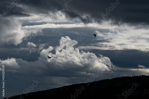 An early summer evening, with two birds flying and an unsettled sky in the background