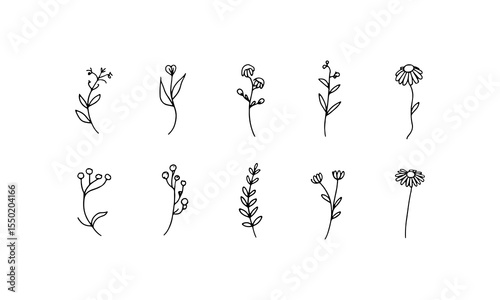 Bold Flower Drawing. A stylized hand-drawn flower with exaggerated petal shapes and thick lines, suited for statement floral designs.