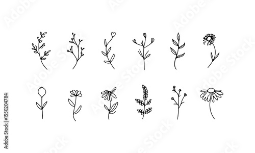 Elegant Botanical Minis. A curated collection of miniature botanical sketches, ideal for soft visual identity and eco branding.