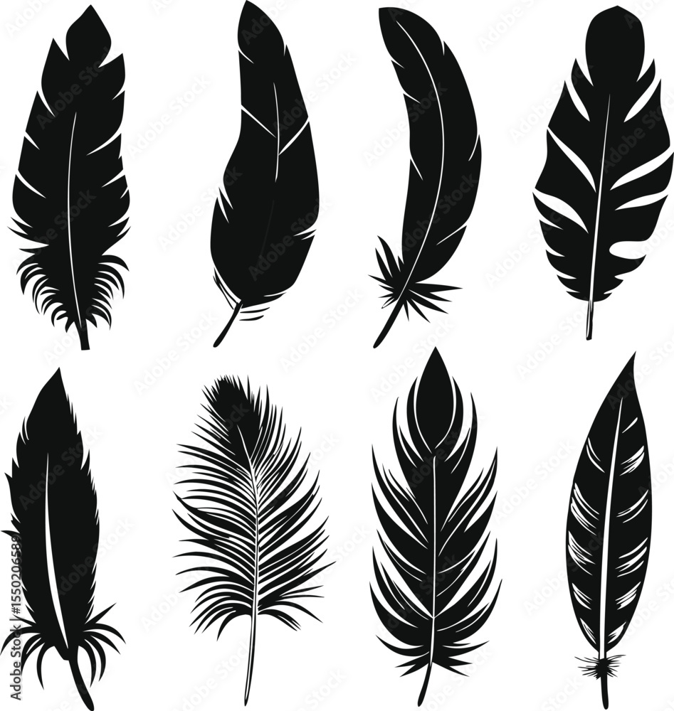 Obraz premium Collection of Black Feather Silhouettes