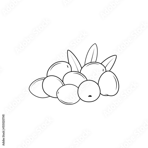 Hand drawn hand drawn olives with leaves. Perfect for coloring pages, food design projects and Mediterranean themed illustrations.