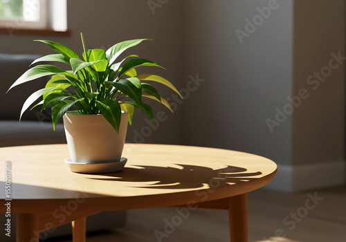 Sunlight Illuminates Peace Lily A Serene Indoor Plant Arrangement in a Modern Home Setting