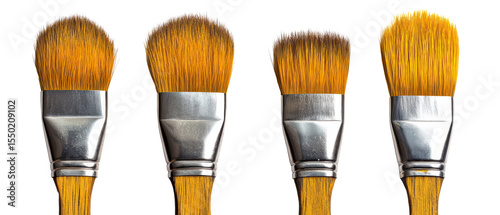Vibrant Mustard Brushes for Creative Garden Designs on transparent background. cut flower elements, garden themed designs. Top view high quality PNG.
