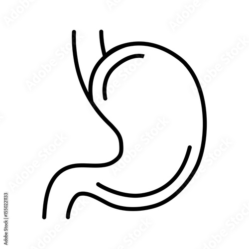 Stomach vector line icon on white background. Vector design element perfect for science, chemistry, laboratory, research, education, medical infographics, healthcare, biology, pharmaceuticals.