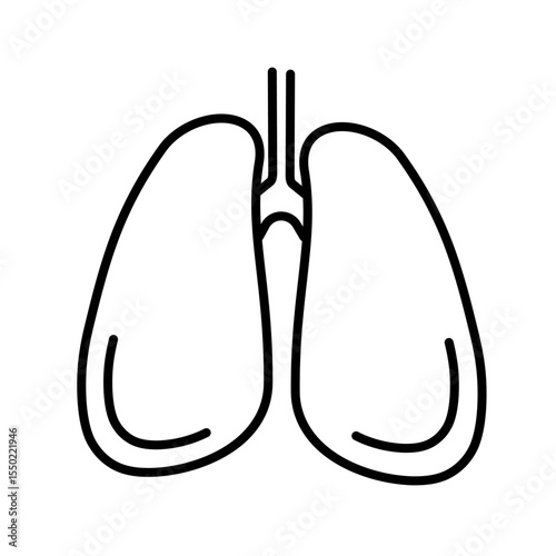 Lungs line art icon isolated on white background. Minimalist vector illustration for healthcare, anatomy, and respiratory design.