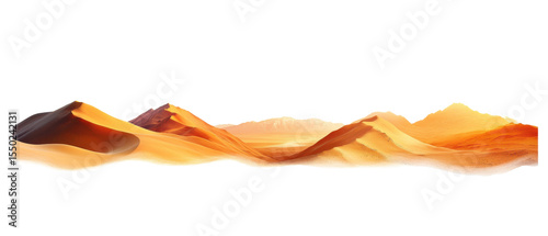 Title on transparent background. cut flower elements, garden themed designs. Top view high quality PNG.
