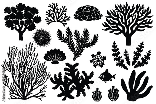 Seaweed and coral silhouettes. Underwater coral reef illustration in a hand drawn style. Illustration of marine aquarium plants.