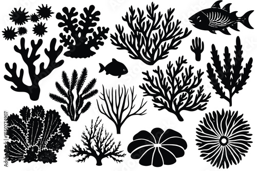 Seaweed and coral silhouettes. Underwater coral reef illustration in a hand drawn style. Illustration of marine aquarium plants.