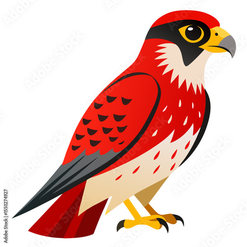 Red-necked Falcon — Minimalist Vector Silhouette