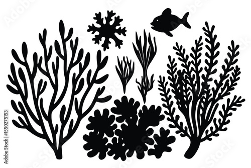 Seaweed and coral silhouettes. Underwater coral reef illustration in a hand drawn style. Illustration of marine aquarium plants.