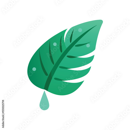 Tropical leaf decorated with dew droplets Vector illustration