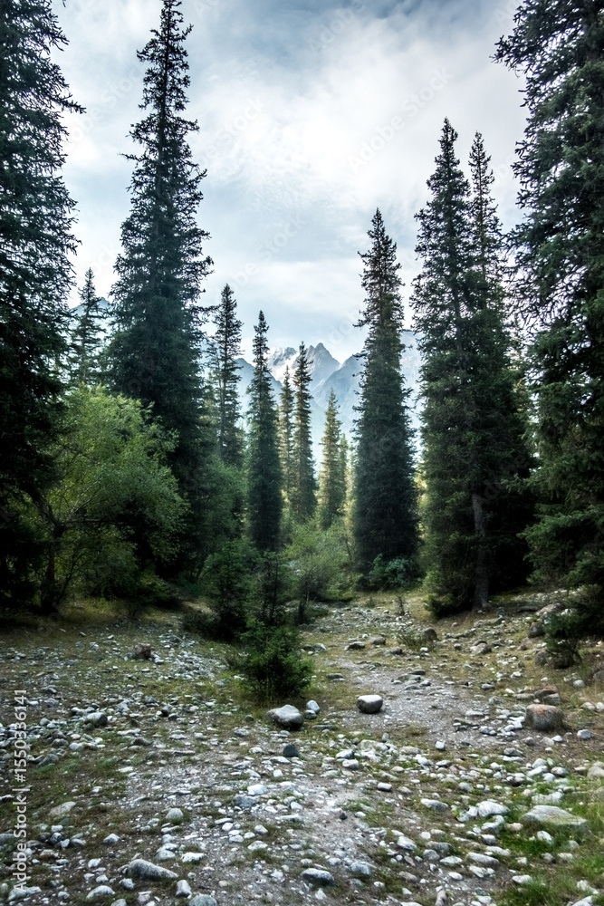 Obraz premium beautiful nature scenes around ala-archa gorge in kygyzstan