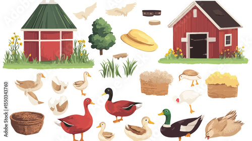 Farm Objects Set with Wild Ducks Cartoon Flat