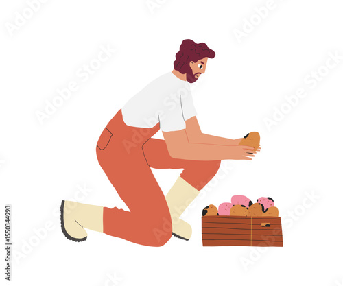 Minimalist illustration of a man harvesting potatoes into a crate. Warm color palette and simple shapes. Suitable for farming, gardening, and organic food topics.