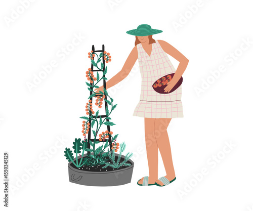 Stylized illustration of a woman collecting tomatoes from a garden tower. Calm colors and flat design. Perfect for eco farming, gardening, and healthy food visuals.