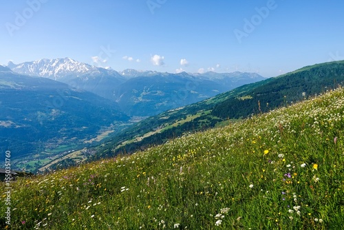 Φωτογραφία Vue en altitude sur les alpages et la vallée de la Tarentaise à Bourg-Saint-Maur