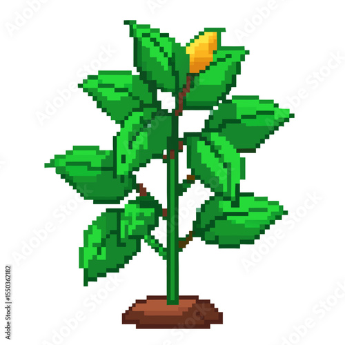 Botanical Pixel Icon