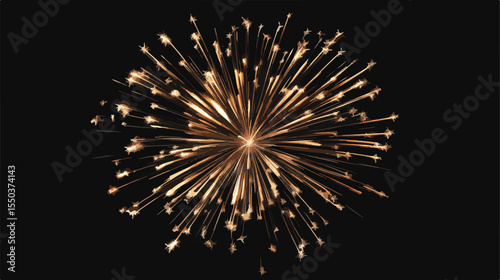 Fourth of July American Independence Fireworks Celebration