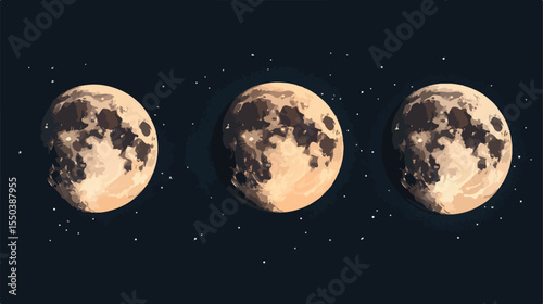 Four Moon Phases Set Flat Vector Illustration