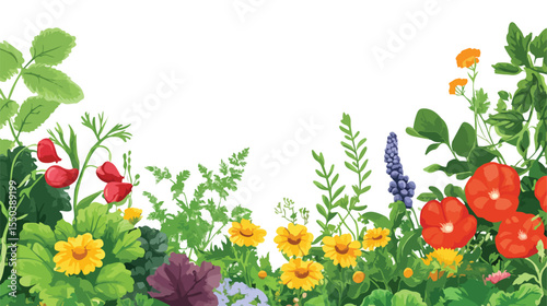 Botanical Frame with Colorful Herb Design Vector