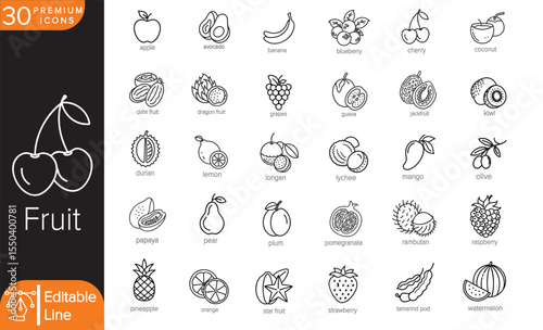 30 Monoline Vector Icons of Fruits – Clean Minimal Outline Icons of Tropical, Citrus, Orchard, Exotic, and Berry Fruits for Infographics, Menu Design, Stock Assets, Kids Material, or Pattern Use