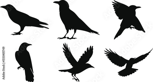 Perched and Flying Birds Vectors