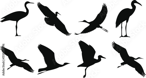 Heron and Egret Bird Silhouettes in Flight