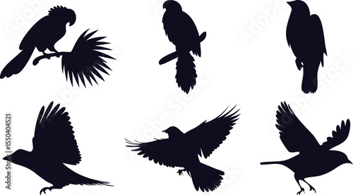 Flying and Landing Bird Silhouettes