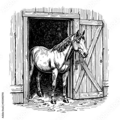 A majestic horse stands proudly in the open doorway of a rustic barn, in this classic black and white vector illustration, showcasing its natural beauty and rural charm.