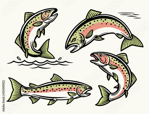 Rainbow Trout Illustrations: Jumping & Swimming Fish Graphics