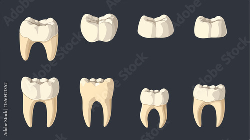Dental Care Icon Set Vector Illustration Design